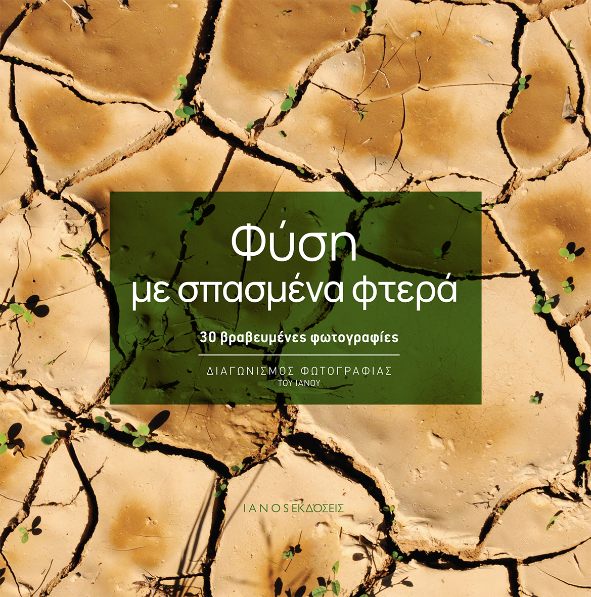 Φύση με σπασμένα φτερά