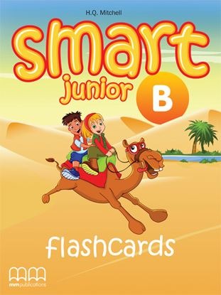 SMART JUNIOR B FLASHCARDS