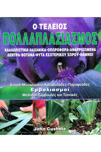 Ο τέλειος πολλαπλασιασμός