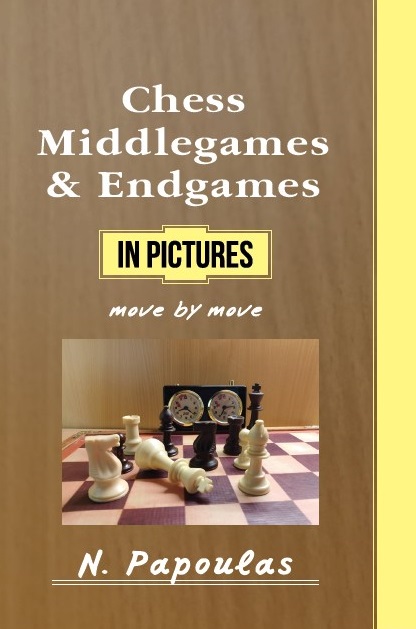 Chess Middlegames & Endgames in Pictures